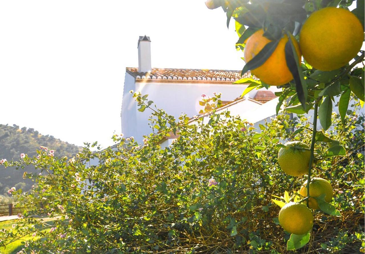 Cortijo Las Caballerias 알로라 외부 사진
