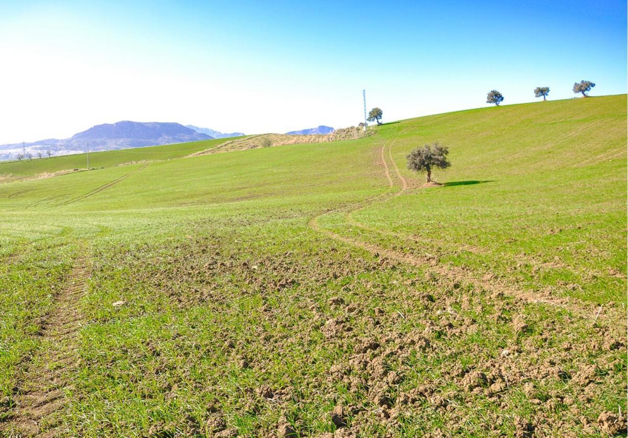 Cortijo Las Caballerias 알로라 외부 사진
